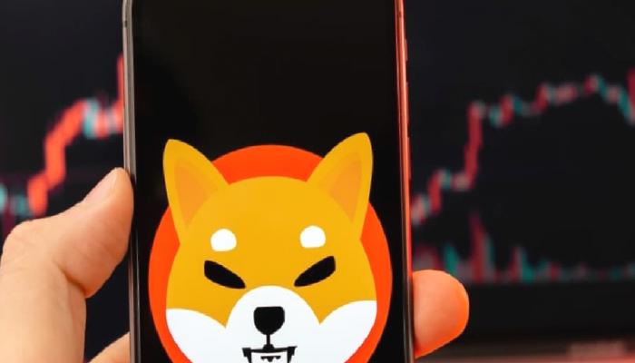 Bloomberg Analistinden “Can Sıkan” Shiba Inu Yorumu!
