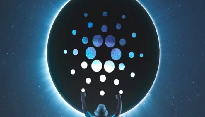 Cardano Ağına Vasil Sonrası 100 Akıllı Kontrat Eklendi