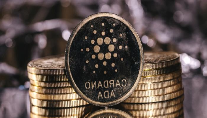 Cardano, En Büyük Üçüncü NFT Protokolü Oldu