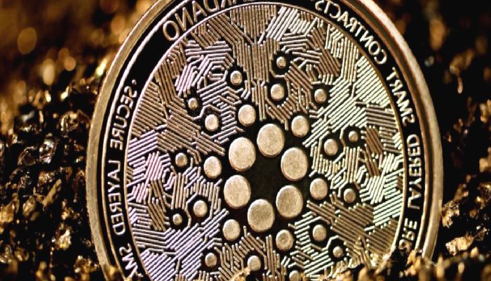 Cardano Hacim Bilgileri Olumlu Sinyaller Veriyor