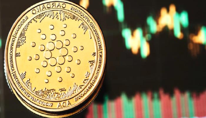Cardano ve Algorand: Sıradaki En Süratli Atlar Bu Coinler mi?