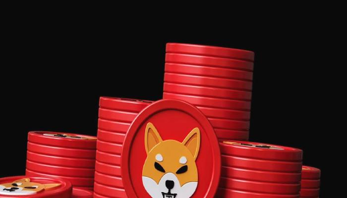 Danışmanlık Devi Uyardı: SHIB ve Bu Altcoin’den Uzak Durun!