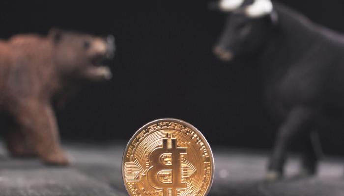 Datalar Konuşuyor: Bitcoin Boğa Piyasası Bu Tarihte Olacak!