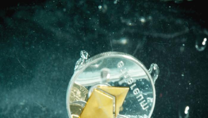 Deneyimli Analist: Bu Altcoin, Ethereum’u Tahtından Edecek!