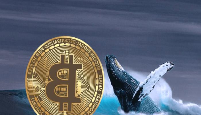 Dev Bitcoin Balinası, 70.000 BTC’sinin Tamamını Sattı! Sonra…