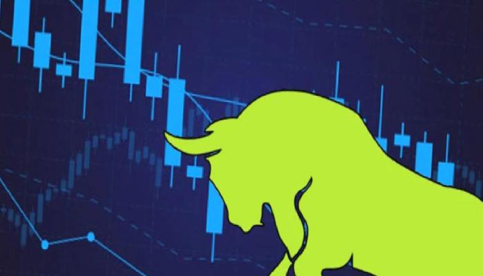 Dev Fon Yöneticisi: Bu Altcoin En Boğa Grafiğe Sahip!
