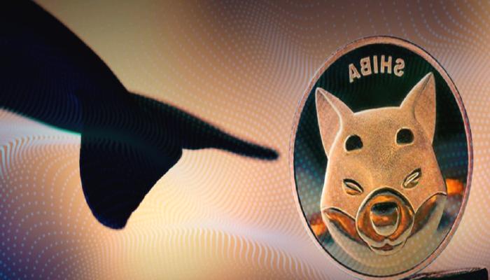 DOGE ve SHIB’te Balina Hareketliliği: Boşalttı, Aldı!