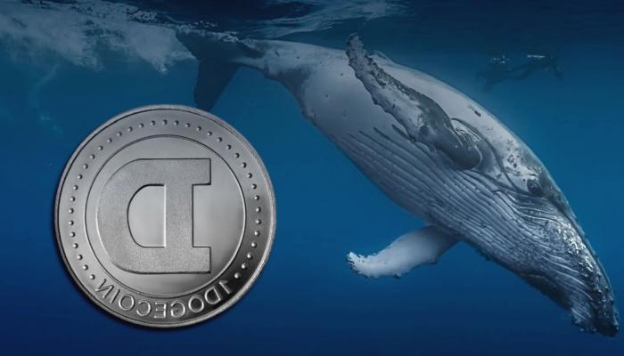 Dogecoin Pumplanırken Balinalar, Bu 3 Altcoin’e Akın Etti!