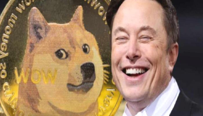 Dogecoin, Twitter ve Elon Musk İçin Son Dakika Gelişmesi!