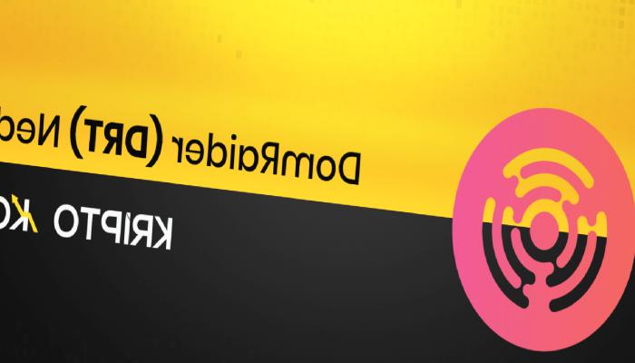 DomRaider Nedir? DRT Ne İşe Yarar?