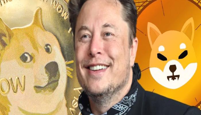 Elon Musk “Alacağım” Dedi: SHIB ve DOGE’a Balinalar Akın Etti!
