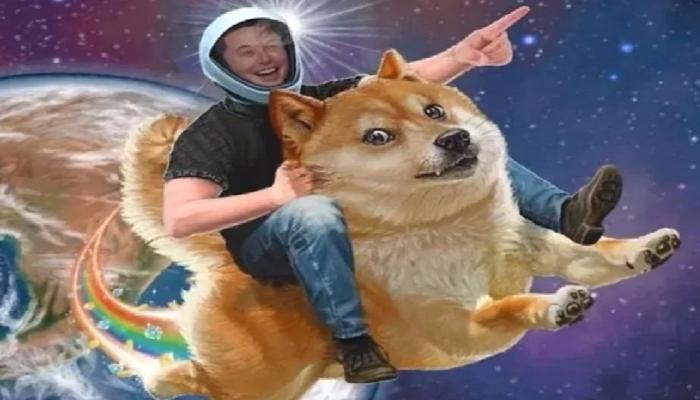 Elon Musk’tan Bomba Atak: Dogecoin Uçuyor!