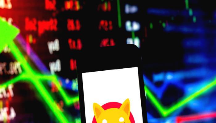 Epik Dogecoin ve Shiba Inu Varsayımları: 8x Diyen Bile Var!