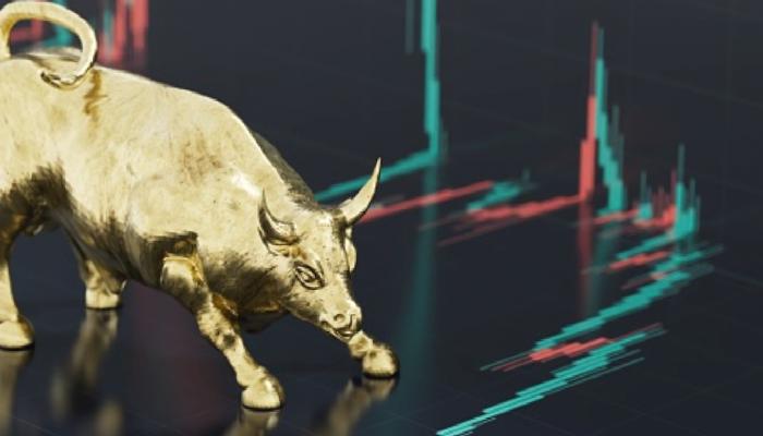 Milyonluk Aboneli Analist: Bu Altcoin İçin Mega Boğayım!