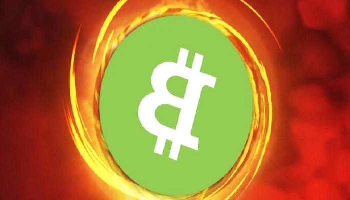Öngörüleri Çıkabilen Analist: Bu Dev Altcoin, BCH Üzere Olabilir!
