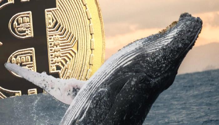 Selloff mu Geliyor? Borsalara Bitcoin Yığılıyor!