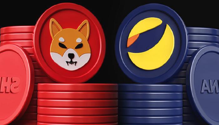SHIB, Polkadot ve LUNA: Haftaya Bu Düzeyler Görülebilir!