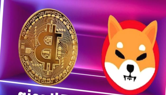 SHIB, Uniswap ve BTC’de Şaşırtan Gelişmeler! Fiyat ne Olacak?