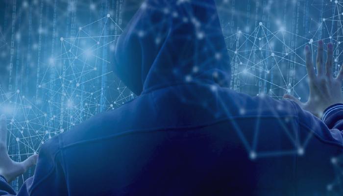 SHIB ve Bu 2 Altcoin Yatırımcıları Dikkat: Honeypot Olabilir!