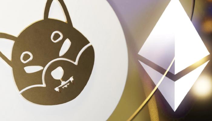 SHIB ve Ethereum’da Balina Hareketliliği: Satış mı Olacak?