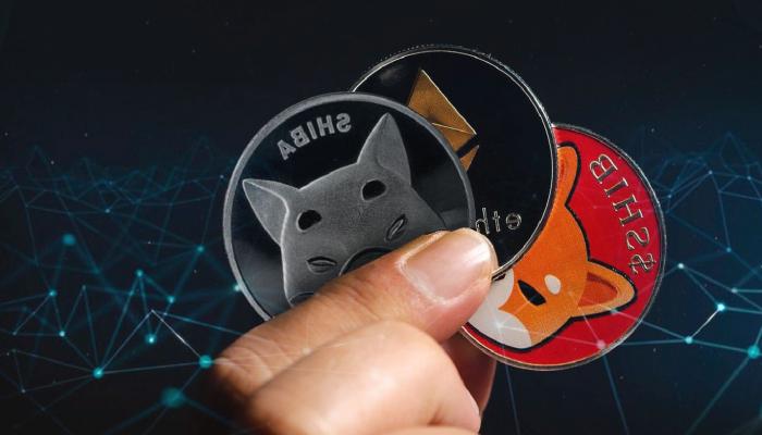 SHIB ve Ethereum’un Sıradaki Amaçları Ne? Haftalık Analiz!