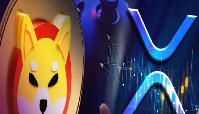 SHIB ve Ripple İçin Balina ve Yatırımcı Tahlili Ne Gösteriyor?