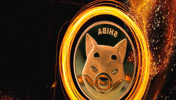 SHIB Yatırımcıları Bu Günü Bekliyor: Yüzde 1.900 Artış!