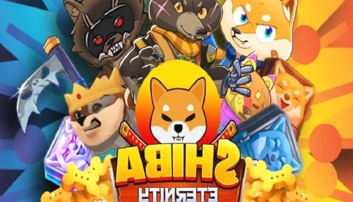 Shiba Eternity Nedir?