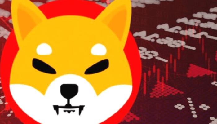 Shiba Inu Mucidi, SHIB İçin Kıymetli Açıklamada Bulundu!