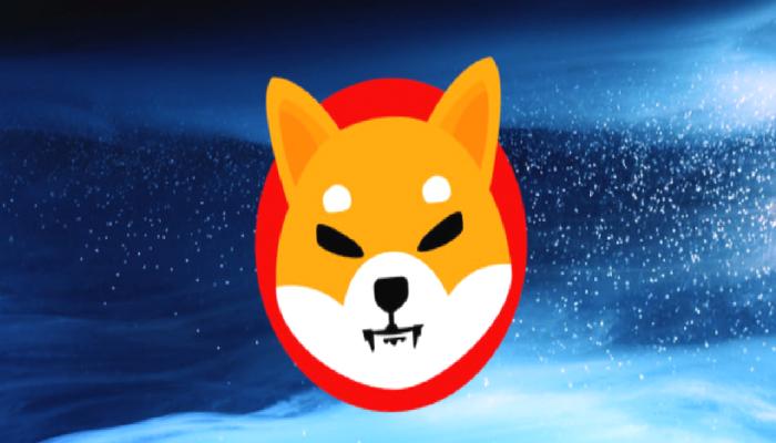 Shiba Inu Yıl Sonunda Hangi Düzeylerde Olacak? İşte Tahminler!