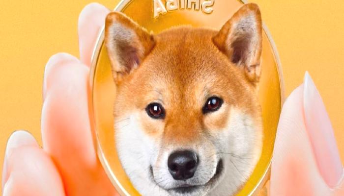 Shiba Inu’yu Listeleyen Kripto Borsalarına Yenisi Katılıyor