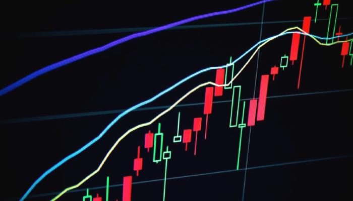 Son Bir Haftada Ayı Dönemine Meydan Okuyan Kripto Paralar
