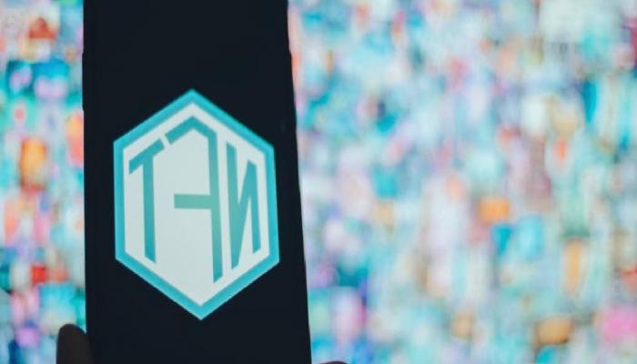 Three Arrows Capital Fonu, 300’den Fazla NFT’yi Taşıdı