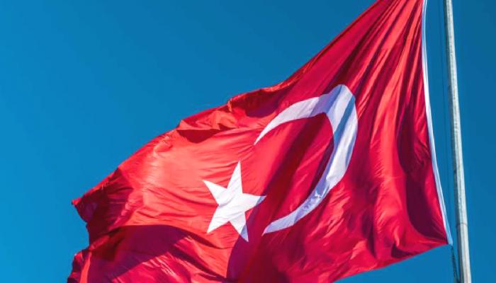 Türkler Aptos ve Bu Enteresan Altcoinlerin Peşine Düştü!