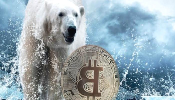 Uzman Yorumu: Bitcoin, SHIB ve Altcoin Kışının Sonu Ne Vakit?