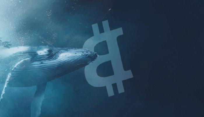 Whalemap: Bu 3 Bitcoin Düzeyine Dikkat! Balinalar Bekliyor