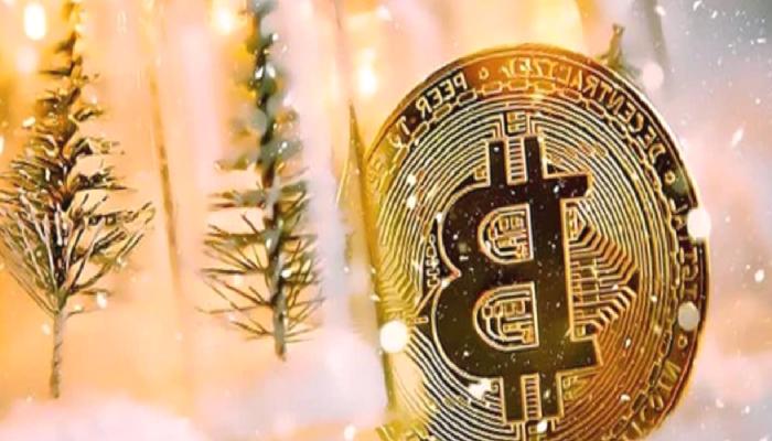 4 Uzman Yorumu: Bitcoin ve Altcoin Kışı Ne Vakit Bitecek?