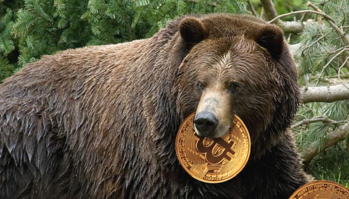5 Efsane Analist: Bitcoin Ayı Piyasası Bu Tarihte Bitecek!