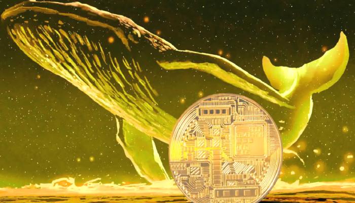 Balinalar, Binance-FTX Krizinde Bu 2 Altcoin’de Pusu Kurdu!