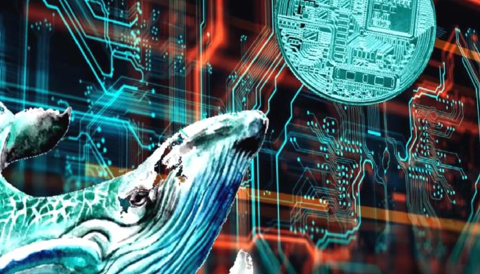 Balinalar İstikametini Bu 2 Altcoin’e Çevirdi! ‘Ralli Bekleniyor’