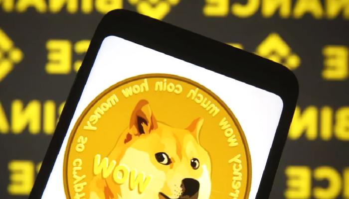 Binance DOGE Değil: Zulasına Bu Meme Coin’den Doldurdu!