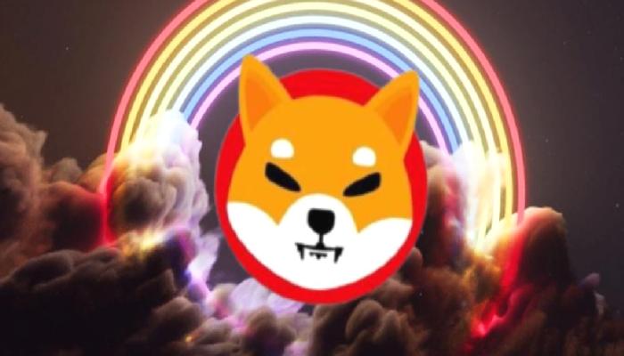 Bitcoin Çöküşlerini Bilen Analistten Flaş SHIB Tahmini!