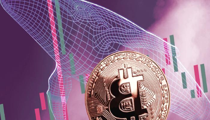 Bitcoin İçin ‘Balina Selloff’u’ Uyarısı: Bu Düzeyler Görülebilir!