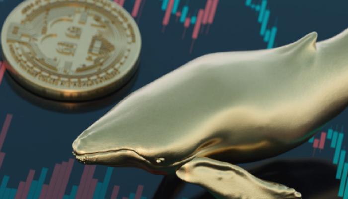 Bitcoin İçin Büyük Dalga Uyarısı: Balinalar Bu Coinlere Saldırdı!