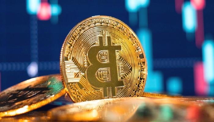 Bitcoin Uzun Vadeli Fiyat İddiası – 23 Kasım 2022