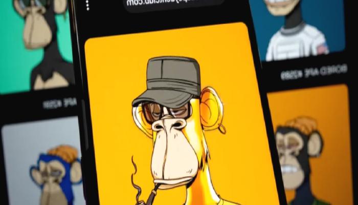 Bored Ape Kurucularından, Yeni Bir Teklif