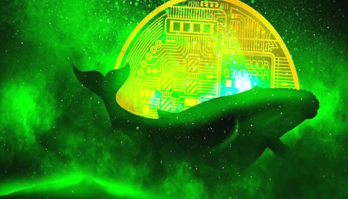 Bu 2 Altcoin İçin Alarm: Binance Balinaları Dump’lıyor!