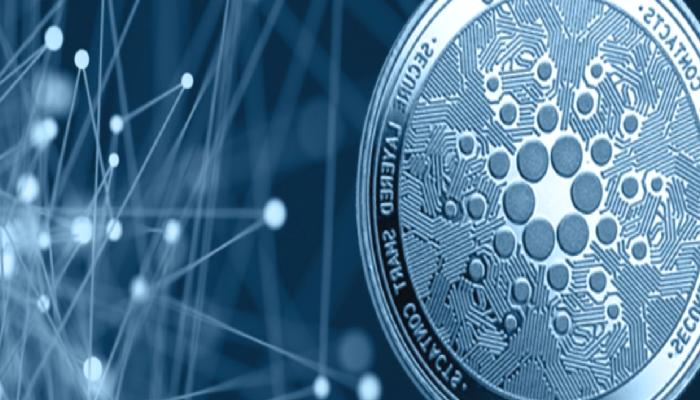 Cardano Faal Adres Sayısı Artış Gösteriyor