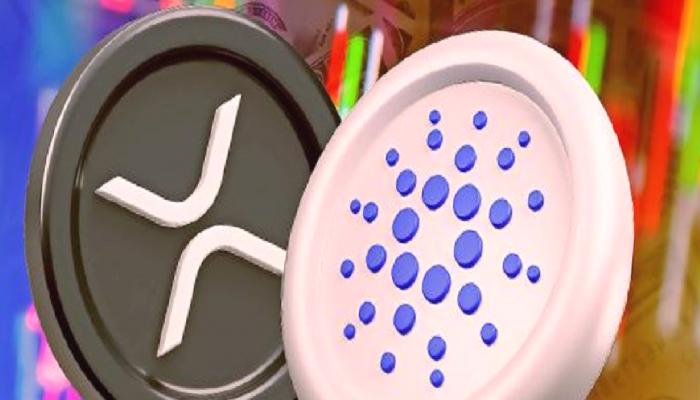 Cardano ve Ripple İçin Yıl Sonu Kestirimi: Bu Düzeyleri Görebilir!