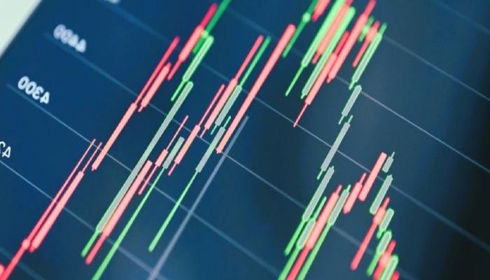 Danışmanlık Devi: SHIB ve Bu 2 Altcoin’den Uzak Durun!